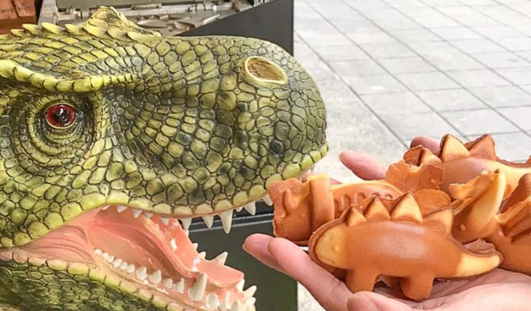 買來配侏羅紀♡　小恐龍造型「吼吼叫雞蛋糕」　「翼龍、霸王龍」療癒一次集齊