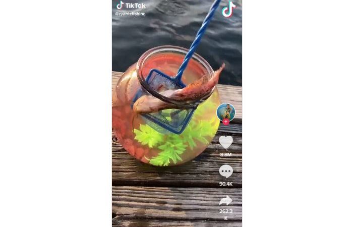 男心懷慈悲放生寵物魚！入海瞬間「大魚高速吞掉」他原地錯愕好幾秒