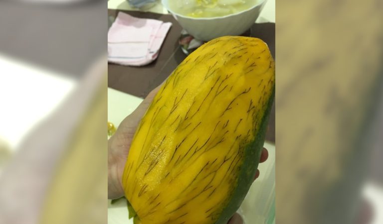 芒果去皮見「黑腳毛」！她嚇問還能吃嗎？　內行人給答案